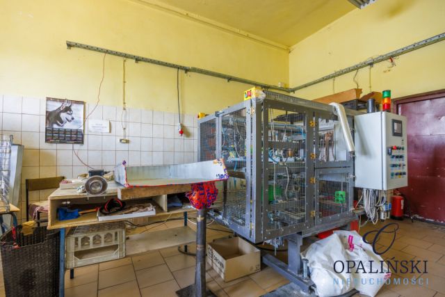 Lokal Zawichost, ul. Krochmalna. Zdjęcie 27