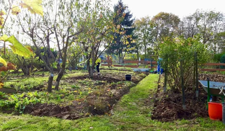 Działka rod Droszków