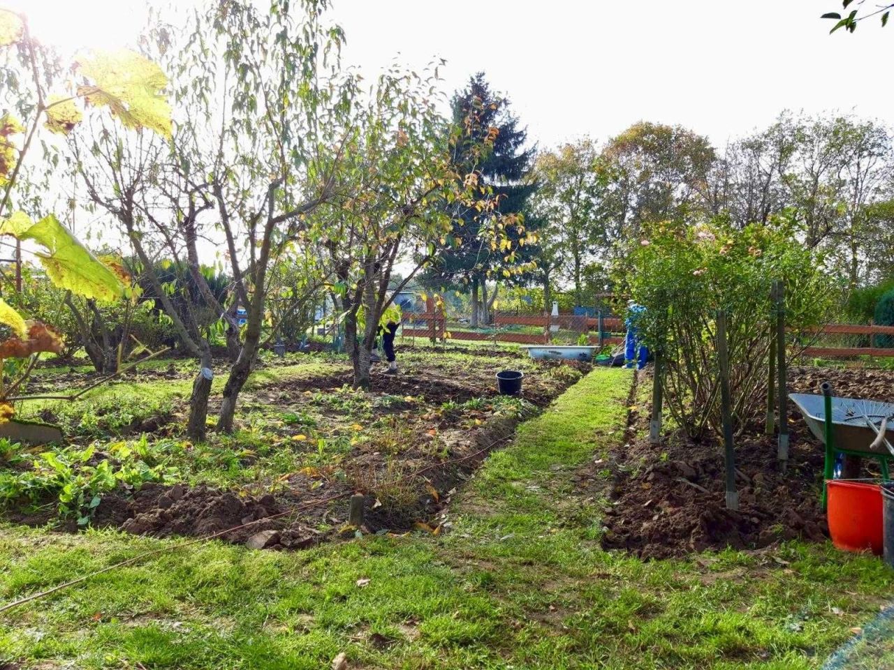 Działka rod Droszków