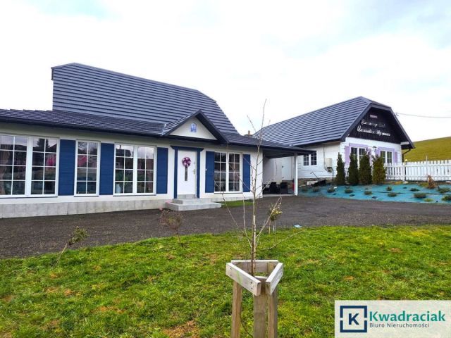 dom wolnostojący, 8 pokoi Paszowa. Zdjęcie 2