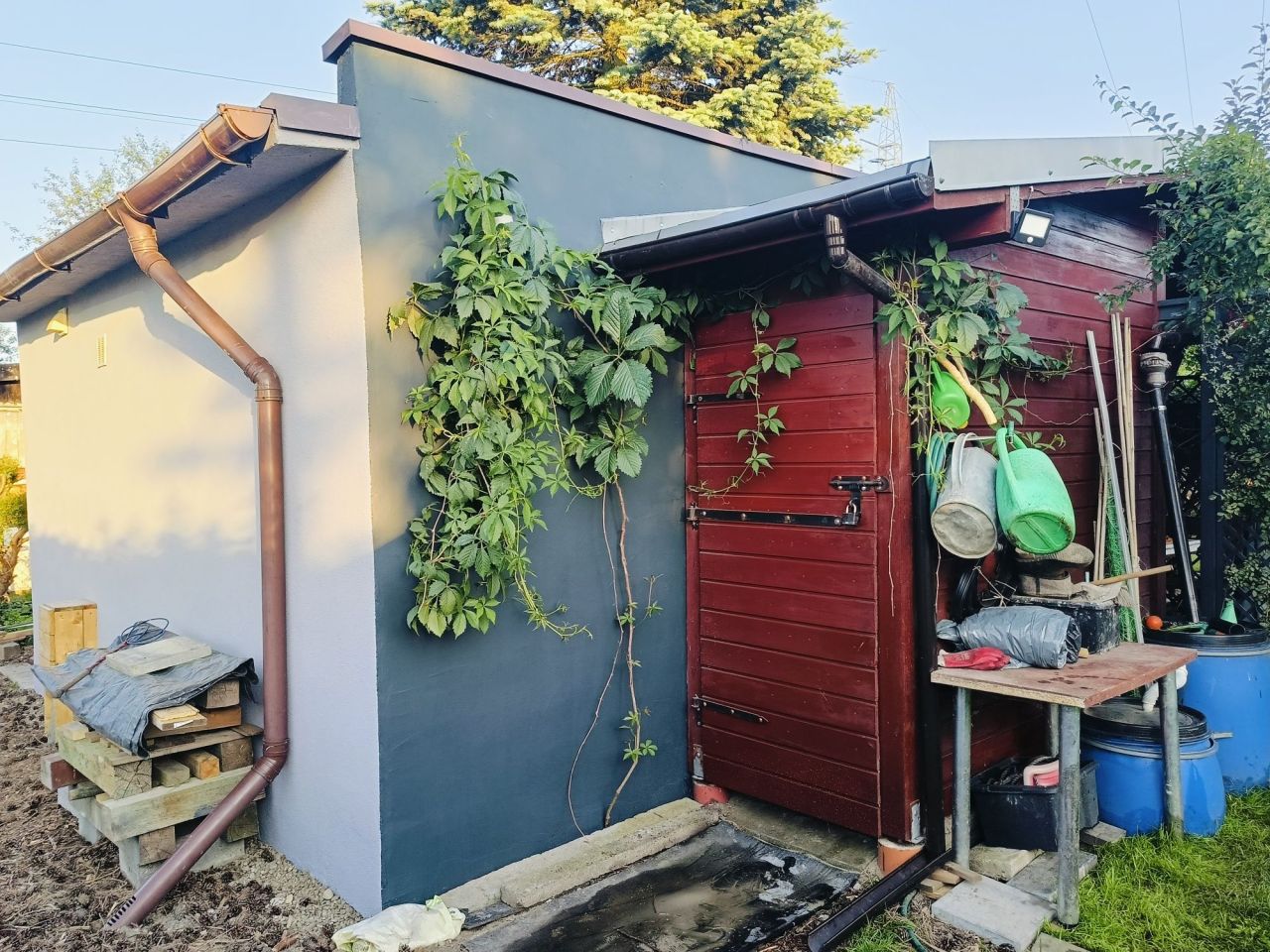 Działka rod Rybnik, ul. Brzozowa. Zdjęcie 6