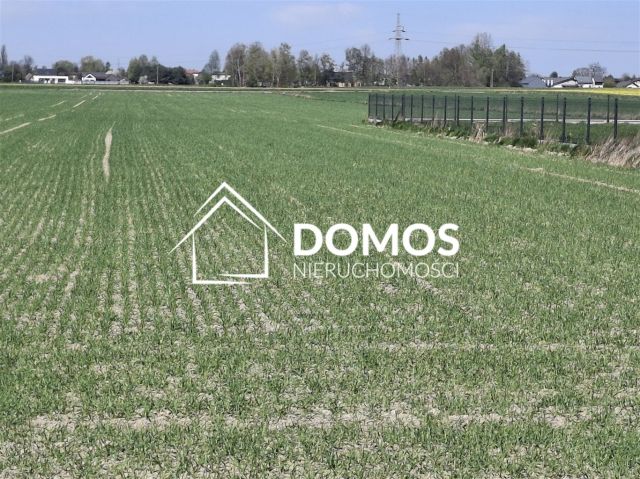 Działka budowlana Ćwiklice, ul. Spokojna. Zdjęcie 3