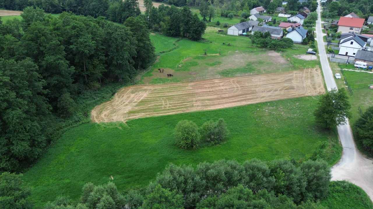 Działka rolno-budowlana Stodzew. Zdjęcie 6