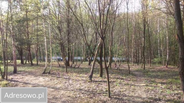 Działka rekreacyjna Krzczonów. Zdjęcie 1