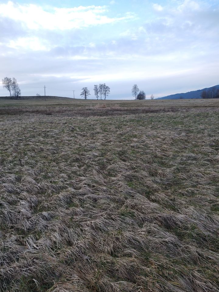 Działka budowlana Ciechanowice. Zdjęcie 8