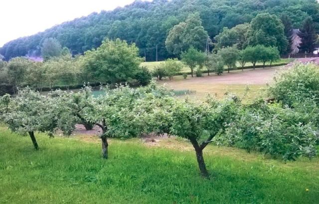 Działka rolno-budowlana Byczeń, -. Zdjęcie 8