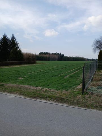 Działka budowlana Jeziernia Zagrządki, ul. Zagrządki. Zdjęcie 5