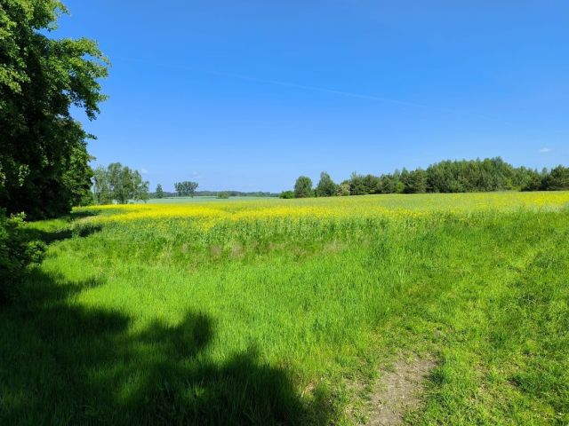 Działka rolno-budowlana Młyniska. Zdjęcie 1