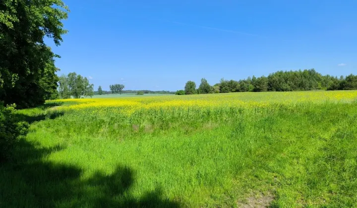 Działka rolno-budowlana Młyniska
