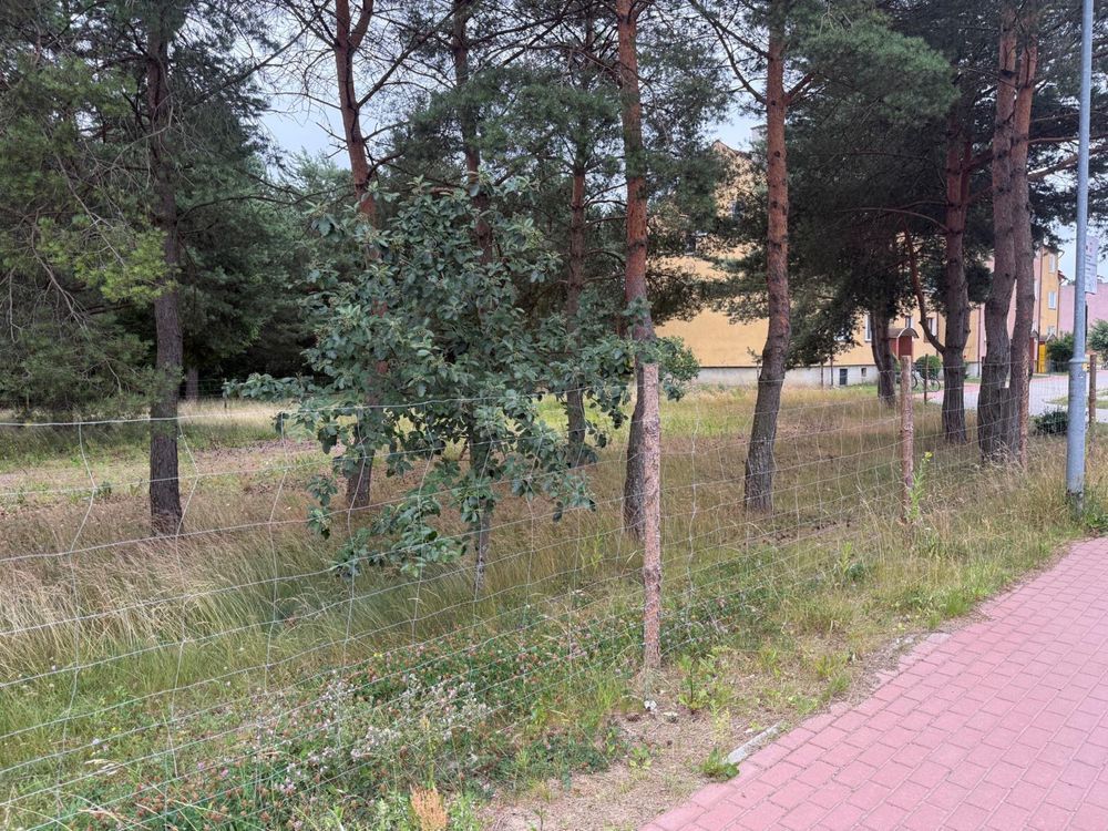 Działka budowlana Rymań. Zdjęcie 2