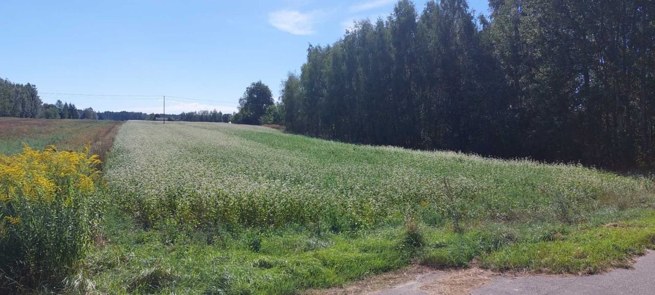 Działka rolno-budowlana Sitno. Zdjęcie 3