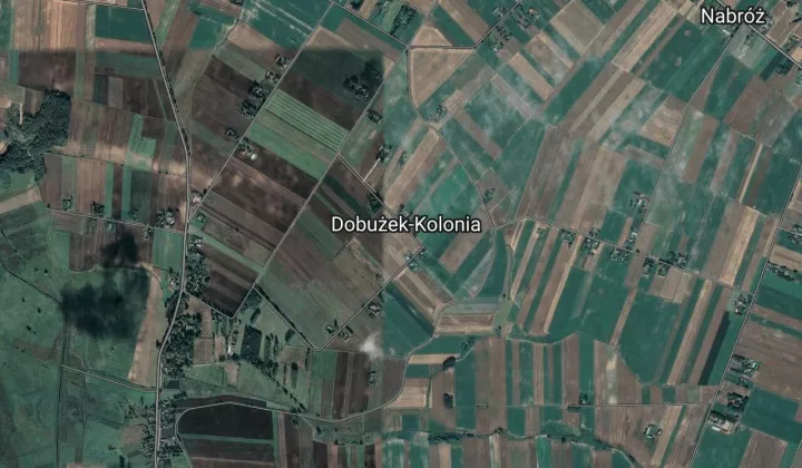 Działka rolna Dobużek-Kolonia