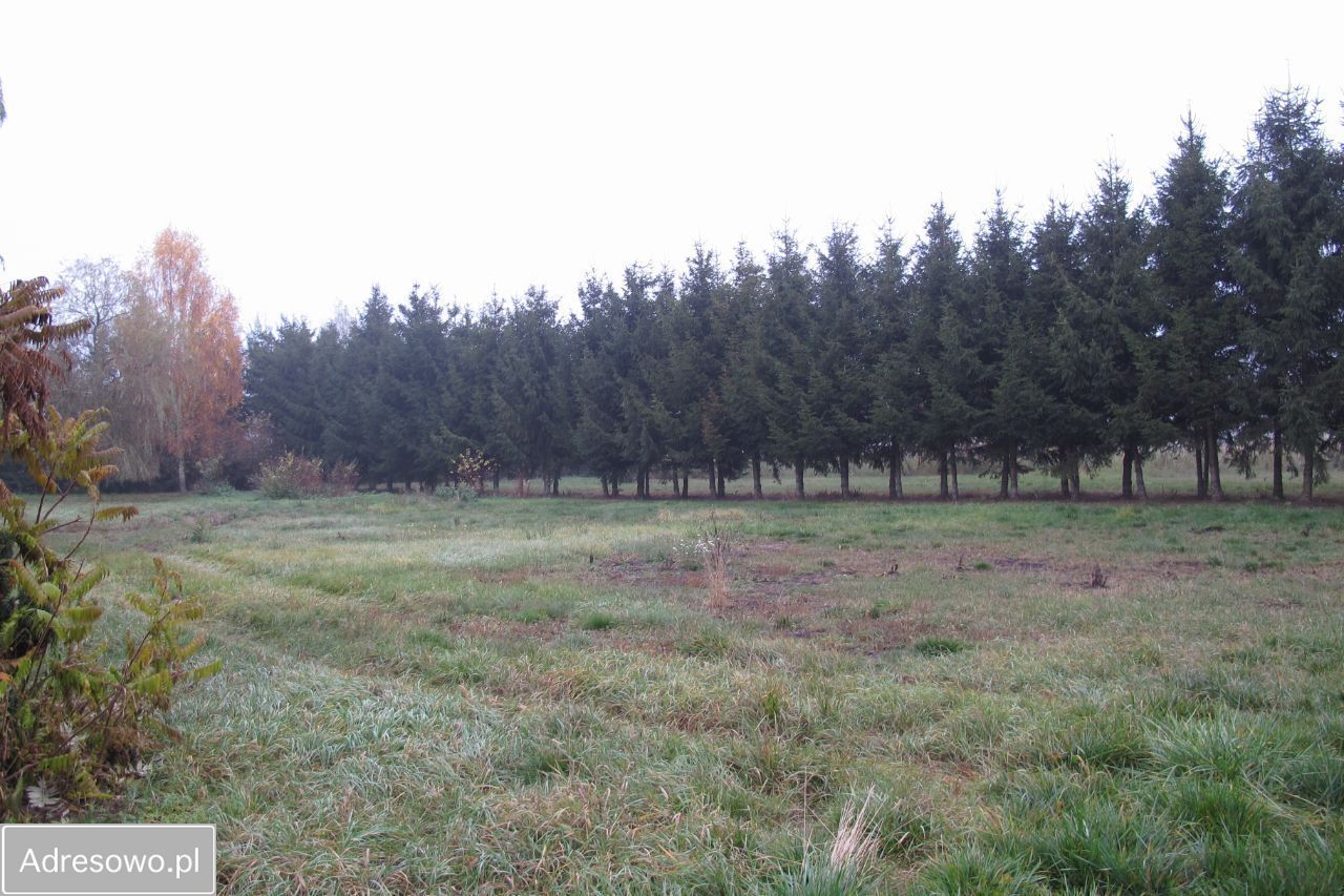 Hala/magazyn Orłowo, ul. Rzeczna. Zdjęcie 7