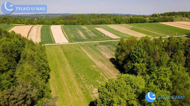 Działka Lipnica Dolna. Zdjęcie 9