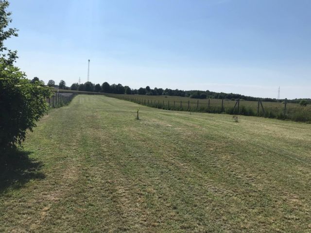 Działka rolno-budowlana Tyśmienica. Zdjęcie 1