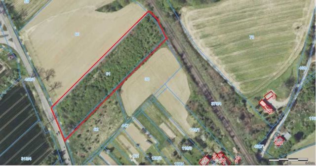 Działka rolna Polski Świętów. Zdjęcie 1