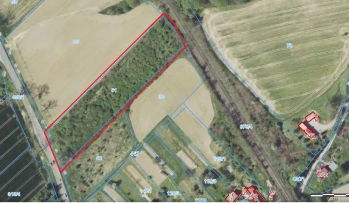 Działka rolna Polski Świętów