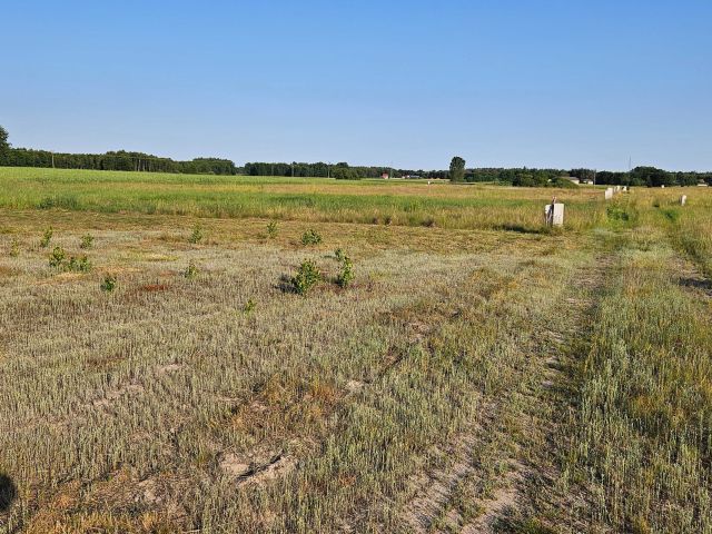 Działka budowlana Sumin. Zdjęcie 1