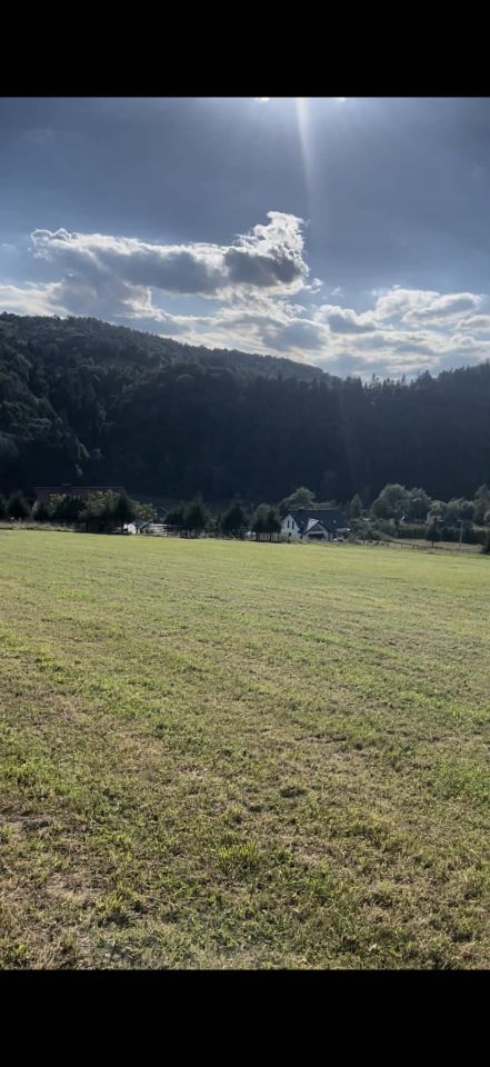 Działka budowlana Muszyna Ćwierci, ul. Ogrodowa. Zdjęcie 4