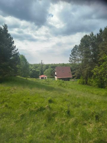 Działka siedliskowa Zabrodzie. Zdjęcie 1