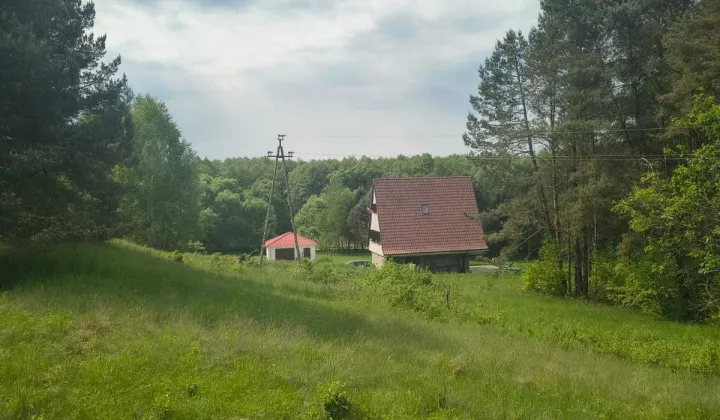 Działka siedliskowa Zabrodzie