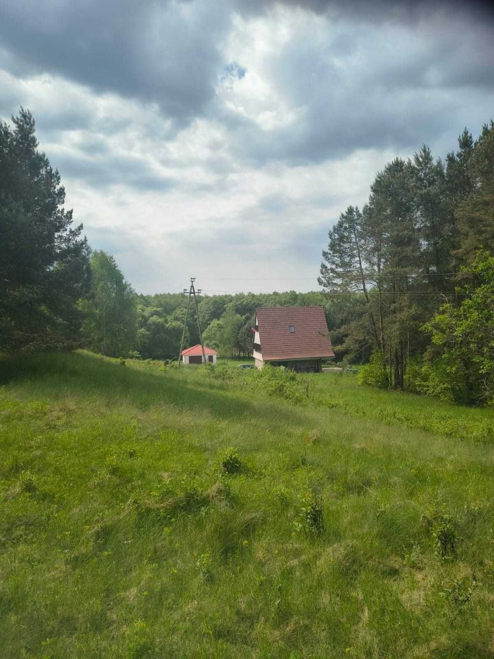 Działka siedliskowa Zabrodzie. Zdjęcie 1