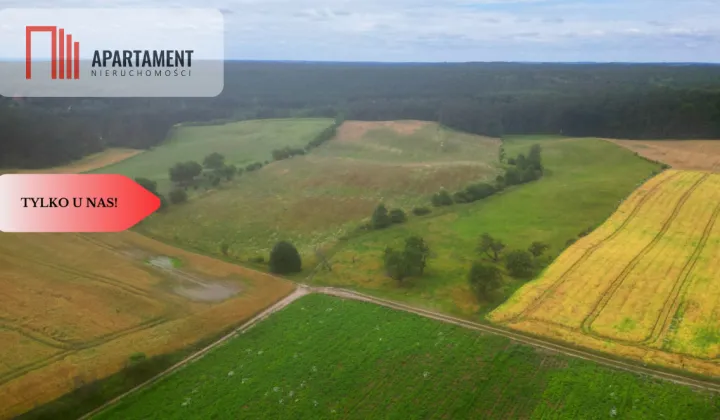 Działka siedliskowa Opalenie