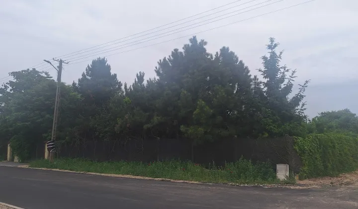 Działka siedliskowa Betkowo
