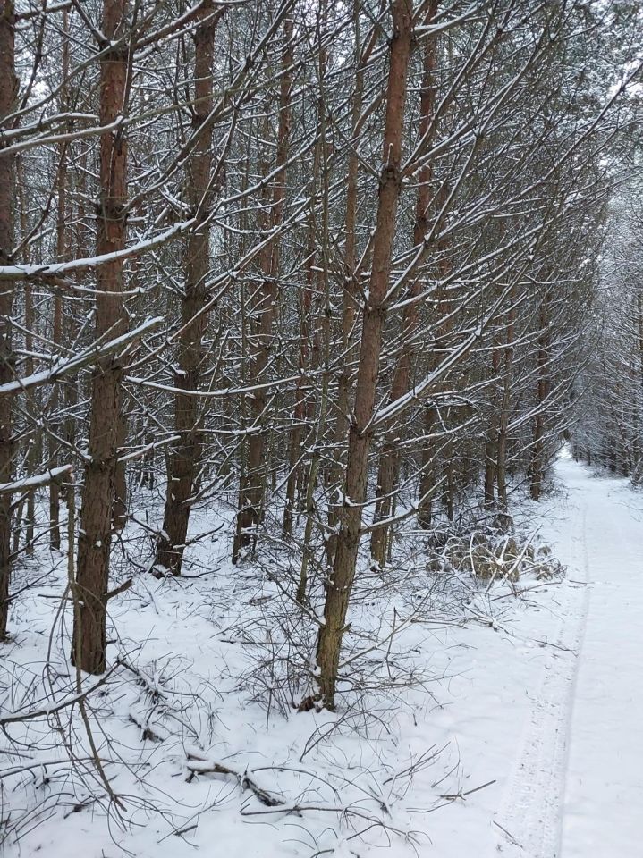 Działka rolna Gustawów Gustawów Drugi. Zdjęcie 3
