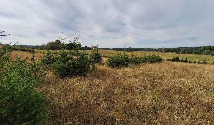 Działka rolno-budowlana Szypliszki, ul. Lipowa