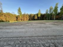 Działka rolno-budowlana Kolonia Dobryszyce. Zdjęcie 2