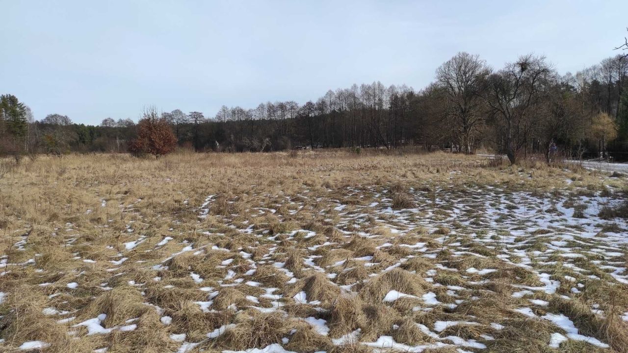 Działka budowlana Przesieki. Zdjęcie 5