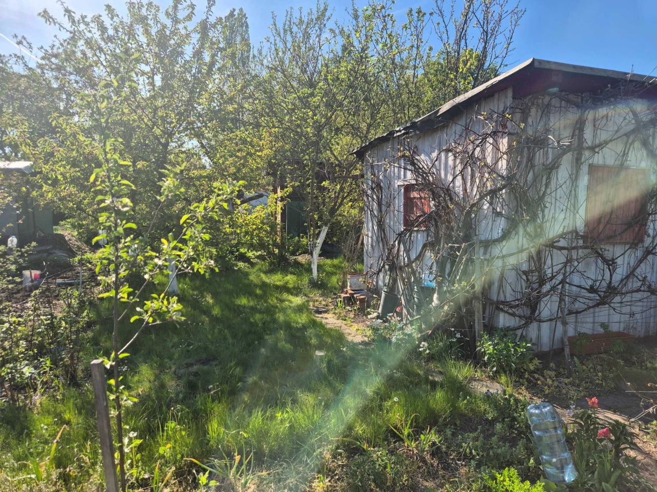 Działka rod Wrocław Krzyki, ul. Koszycka. Zdjęcie 4