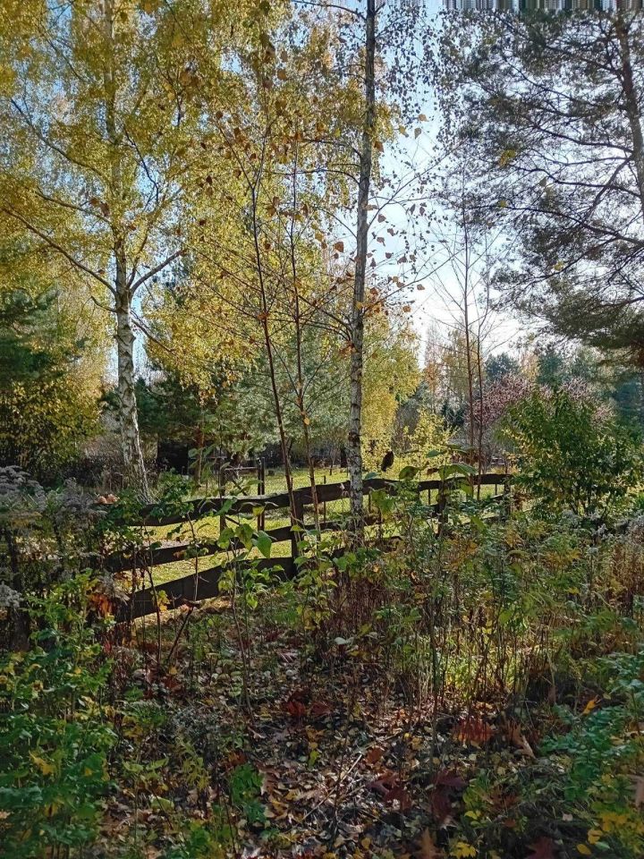 Działka rod Radom Godów, ul. Ciborowska. Zdjęcie 5