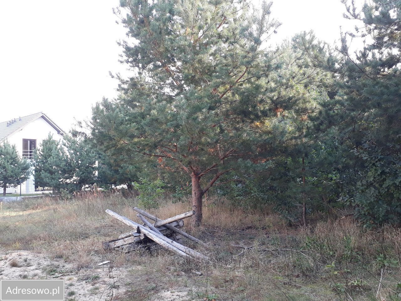 Działka budowlana Osowicze. Zdjęcie 6