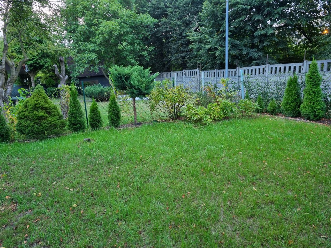 Działka rod Siemianowice Śląskie Bytków, ul. Alfonsa Zgrzebnioka. Zdjęcie 3