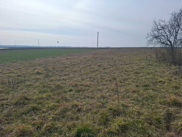 Działka rolno-budowlana Zdunowo. Zdjęcie 1