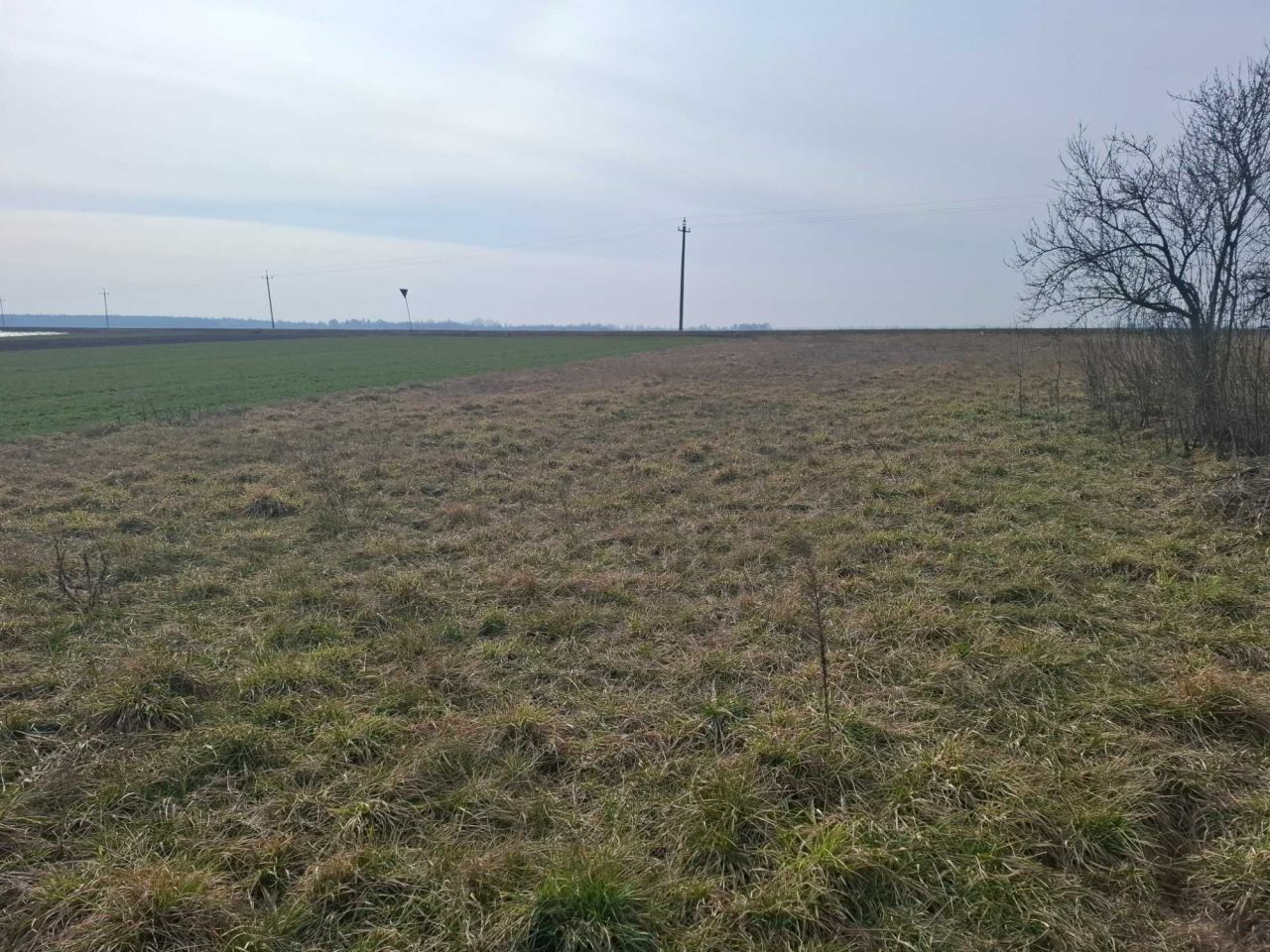 Działka rolno-budowlana Zdunowo