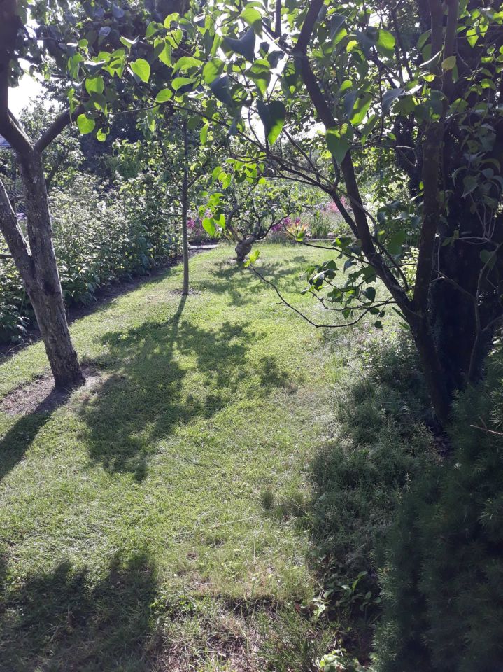 Działka rod Hrubieszów. Zdjęcie 6