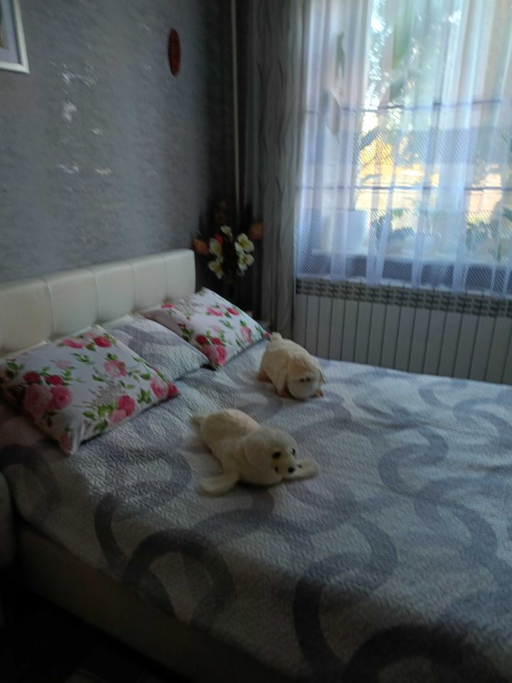 Mieszkanie 2-pokojowe Aleksandrów Łódzki, ul. Fryderyka Chopina. Zdjęcie 2