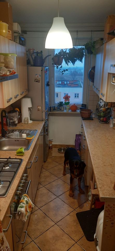 Mieszkanie 3-pokojowe Słupsk Zatorze, ul. Maurycego Mochnackiego. Zdjęcie 13