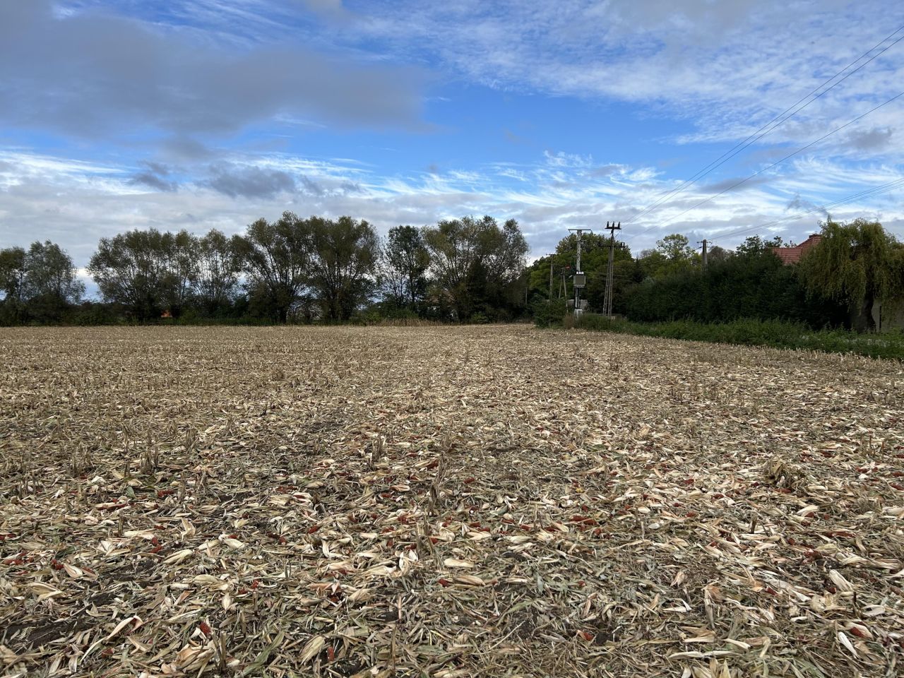 Działka budowlana Niestum, ul. Spokojna. Zdjęcie 3