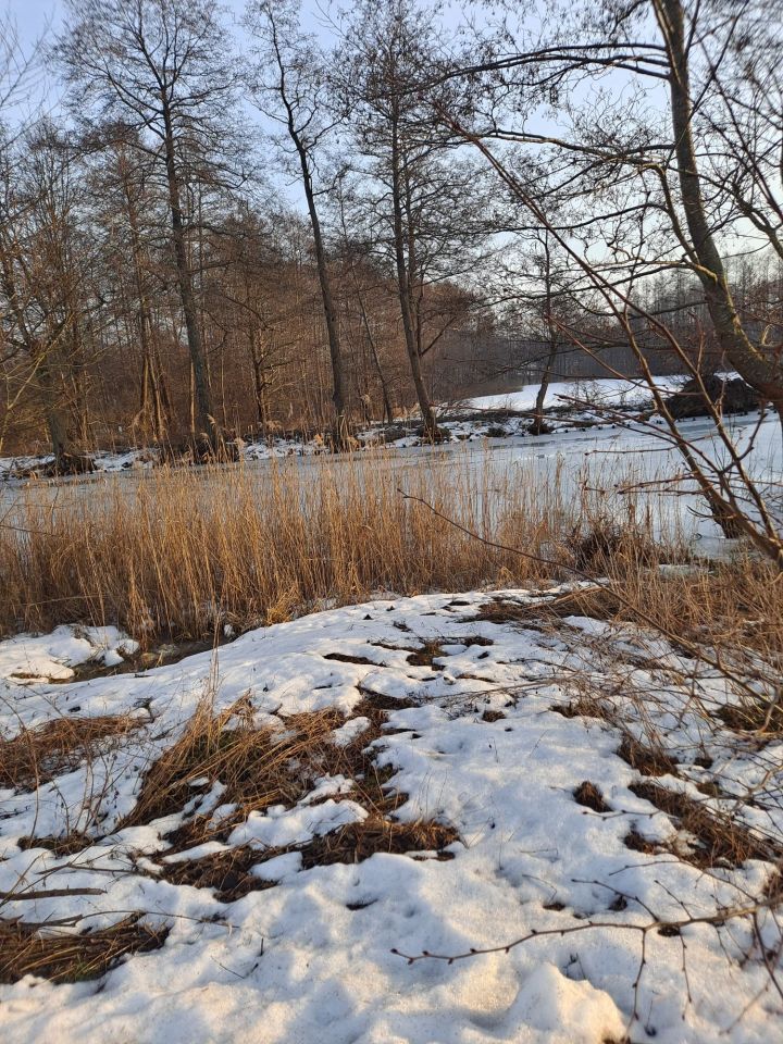 Działka budowlana Dębinka. Zdjęcie 6