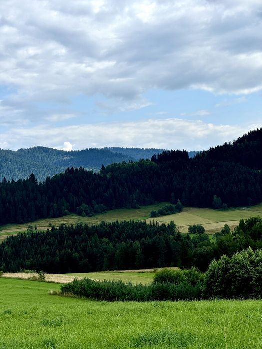 Działka budowlana Poręba Wielka. Zdjęcie 5