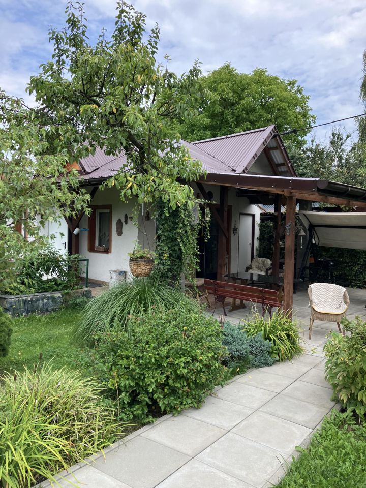 Działka rod Katowice Brynów, ul. Porfirowa. Zdjęcie 8