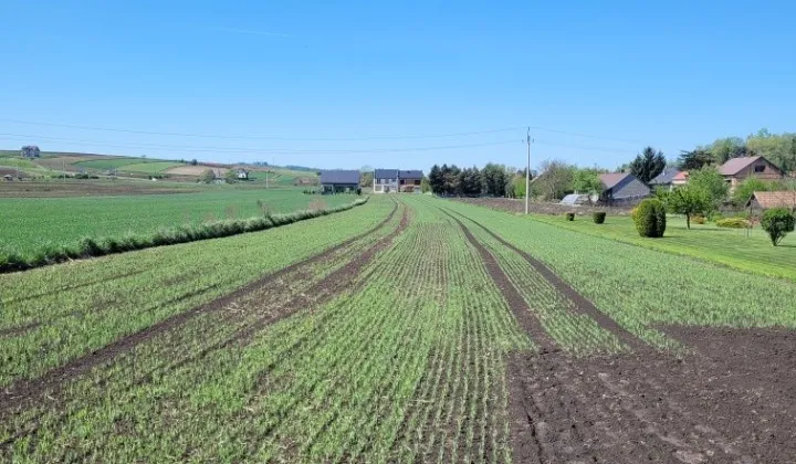 Działka budowlana Proszowice, ul. Armii "Kraków"