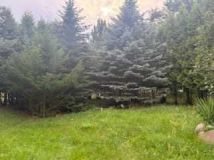 Działka budowlana Radziejowice. Zdjęcie 2
