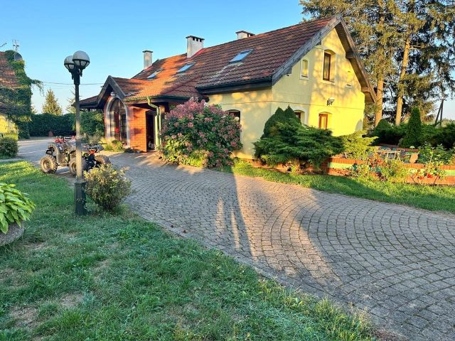 siedlisko Najdymowo. Zdjęcie 20