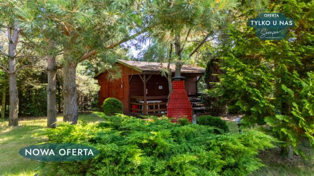 Działka rekreacyjna Strachocice-Kolonia. Zdjęcie 5