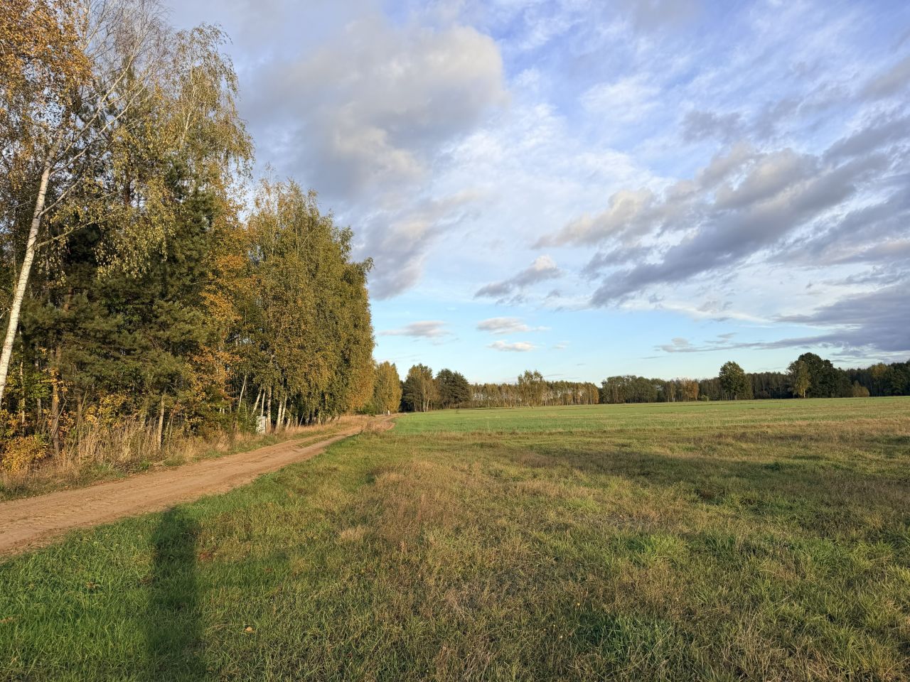 Działka budowlana Napiórki Butne. Zdjęcie 15
